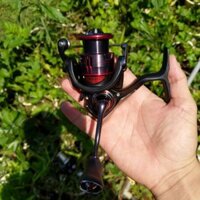 Máy câu cá Daiwa fuego 1000. 2500. 3000 . 4000. 5000.6000