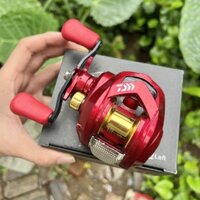 máy câu DAIWA tay chái