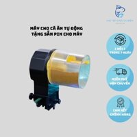 Máy cho cá ăn tự động hẹn giờ, Máy cho cá ăn hẹn giờ tự động, Máy cho cá ăn tự động cỡ nhỏ phù hợp các loại cám hạt nhỏ