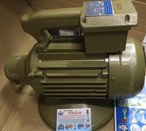 Máy đầm dùi điện Toàn Phát 1,5KW-220V