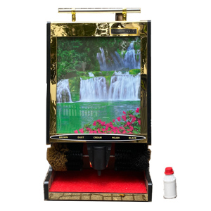 Máy đánh giầy Brother Apus A6 Pro
