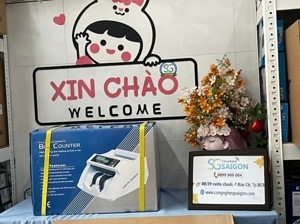 Máy đếm tiền Cashta 4500UV