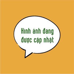 Máy đếm tiền Xiudun 2500C