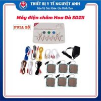 MÁY ĐIỆN CHÂM HOA ĐÀ SDZ II