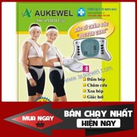 Máy điện xung Aukewel AK-2000-IV 8 miếng