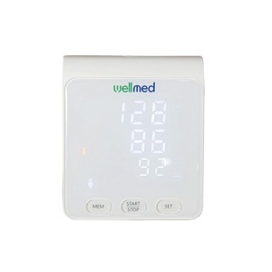 Máy đo huyết áp Wellmed FDBP-A4