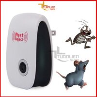 Máy đuổi Chuột, Gián, Kiến, Muỗi Pest Reject - Máy Đuổi Chuột Gián Muỗi Ruồi Kiến Mối Thông Minh