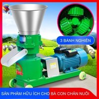 Máy ép cám viên KL-160 cho Gia súc, Gia cầm, Cá, Máy xay nghiền thức ăn đùn viên cám