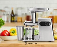 Máy ép chậm bằng INOX 304 trục ngang -Máy ép Cỏ lúa mì, Cần Tây, Rau má, trái cây Bền - Sang Trọng