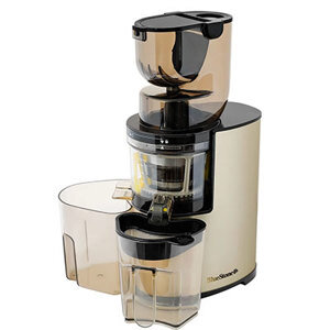 Máy ép chậm BlueStone SJB-6578