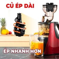 Máy ép chậm hoa quả RH-312, ép rau củ hoa quả, máy ép chậm trái cây - Chính hãng có sỉ