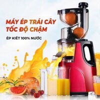 Máy ép chậm HongXin RH312 - Hàng nhập khẩu Hàn Quốc, Máy ép trái cây, hoa quả cực khô