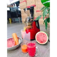 Máy ép chậm nguyên quả, máy ép trái cây HONGXIN RH-312