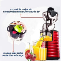 Máy ép chậm nguyên quả Misushita Thái Lan công suất 250W(DH)