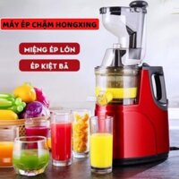Máy ép chậm nguyên quả HONGXING RH-312/ máy ép trái cây HONGXIN RH-312 nội địa Trung