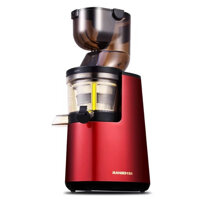 MÁY ÉP CHẬM RANBEM RBM-615, HÀNG NHẬP KHẨU