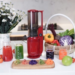 Máy ép chậm Snapbee SK-202US