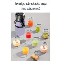 Máy ép chậm Trái cây,làm kem KAMIKI