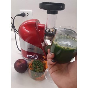 Máy ép chậm trục ngang Lorente LT-2066