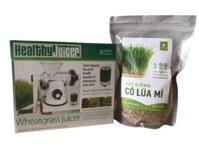 Máy ép cỏ lúa mì Healthy Juicer & Hạt giống cỏ lúa mì – Combo tiện dụng
