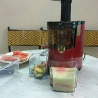 Máy ép hoa quả trái cây, máy ép tốc độ chậm SAVTM