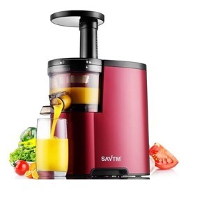 Máy ép trái cây chậm HongXin RH311