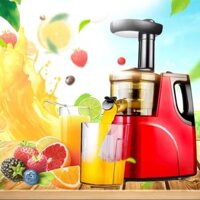 Máy ép trái cây chậm RH310 Hongxin