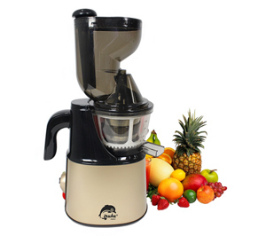 Máy ép trái cây tốc độ chậm miệng rộng Iruka I-52