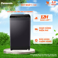 Máy giặt cửa trên Panasonic 10Kg NA-F10S10BRV - Hàng chính hãng