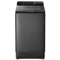 Máy giặt Hitachi Inverter 12 kg LTL 12MVW0T(GG)
