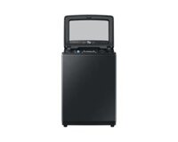Máy giặt Samsung Digital Inverter 11kg WA11T5260BV/SV
