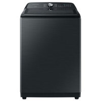 Máy Giặt Samsung Inverter 23Kg WA23A8377GV/SV