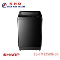 Máy giặt Sharp ES-TM125CN-BK 12.5 kg cửa ngang