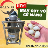 Máy gọt củ năng, củ mã thầy làm chè