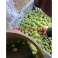 Máy gọt vỏ khoai tây,vỏ sấu chạy điện 220V