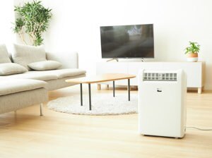 Máy hút ẩm Mistubishi MJ-M120TX