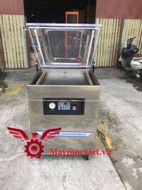 Máy hút chân không 1 buồng DZQ600