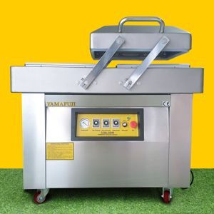 Máy hút chân không DZ 500 2SB