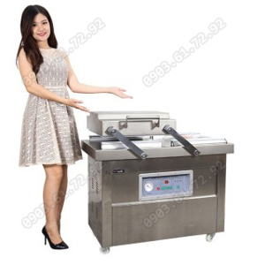 Máy hút chân không GoodFor DZQ500x2