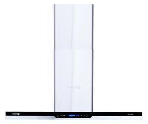 Máy hút mùi Fandi FD-219SR