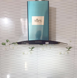 Máy hút mùi Topy 88EU