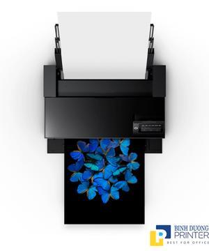 Máy in Epson SC-P903