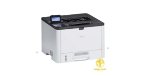 Máy in laser Ricoh SP 330DN