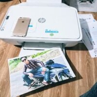 MÁY IN MẦU WIFI HP