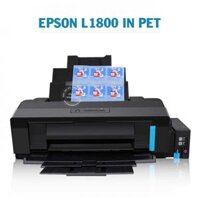 Máy In Pet Chuyển Nhiệt Epson L1800 Khổ A3