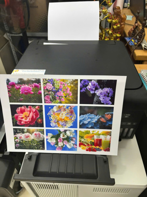 Máy in phun màu đa năng Epson L4160