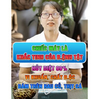 Máy khử khuẩn thực phẩm cao cấp RENPHO, rửa siêu âm và sục ozone thực phẩm 2 trong 1