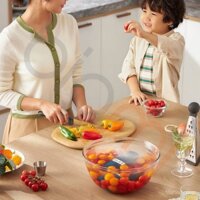 Máy khử khuẩn thực phẩm Donlim Plus DL-1212 máy rửa rau củ quả thịt cá diệt khuẩn bằng công nghệ ion điện phân nư00