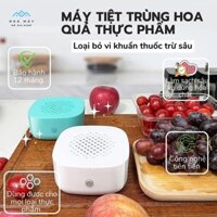 Máy khử khuẩn thực phẩm máy rửa rau củ quả, máy khử trùng, tiệt trùng hoa quả, thực phẩm bằng công nghệ điện phân