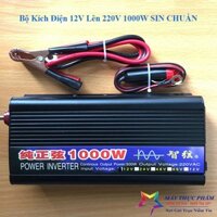 Máy Kích Điện Inverter 1000W Sin Chuẩn